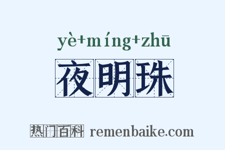 夜明珠是什么意思的图片